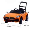 ToyWorldWide-สินค้ารถเข็นสำหรับห้างฯ-MEDIUM-SIZED-BMW Z4-1